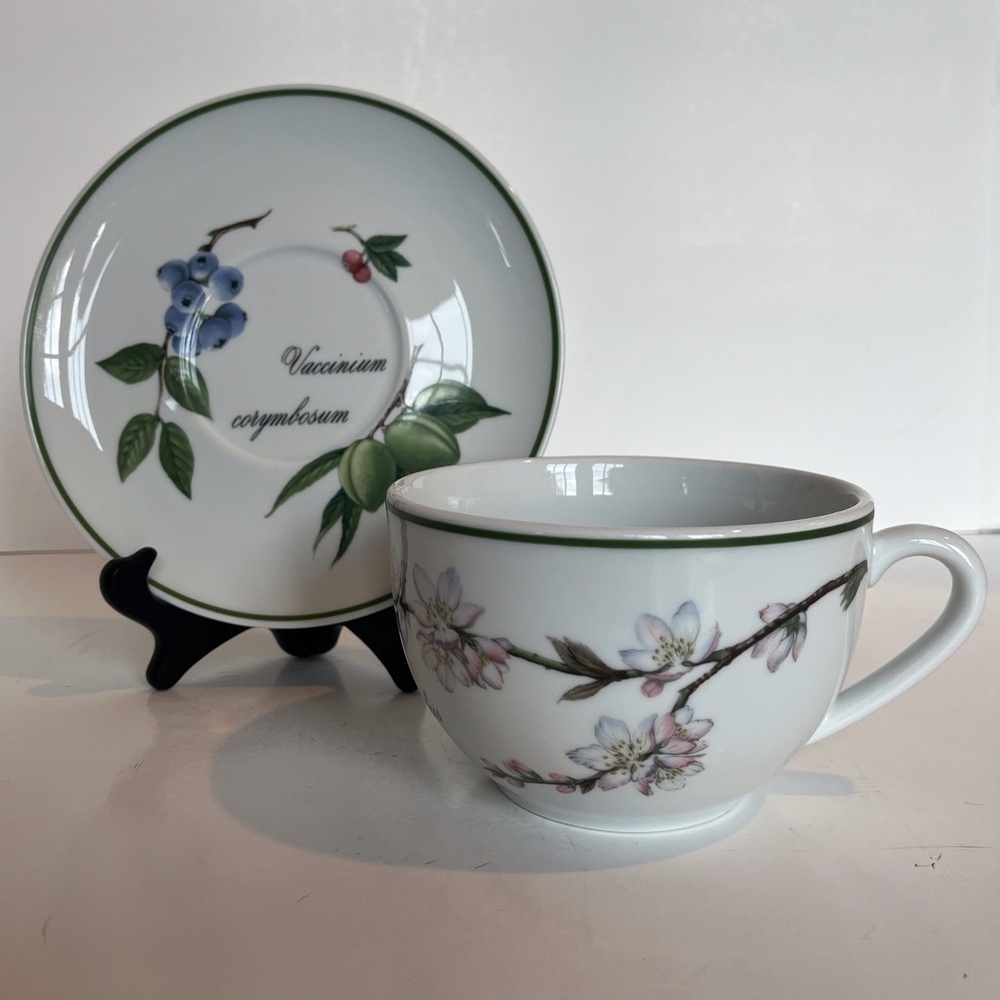 Apilco French Elysian Garden Porcelaine Oversized Breakfast Cup and Saucer